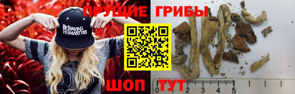Псилоцибиновые грибы Magic Shrooms Петрозаводск